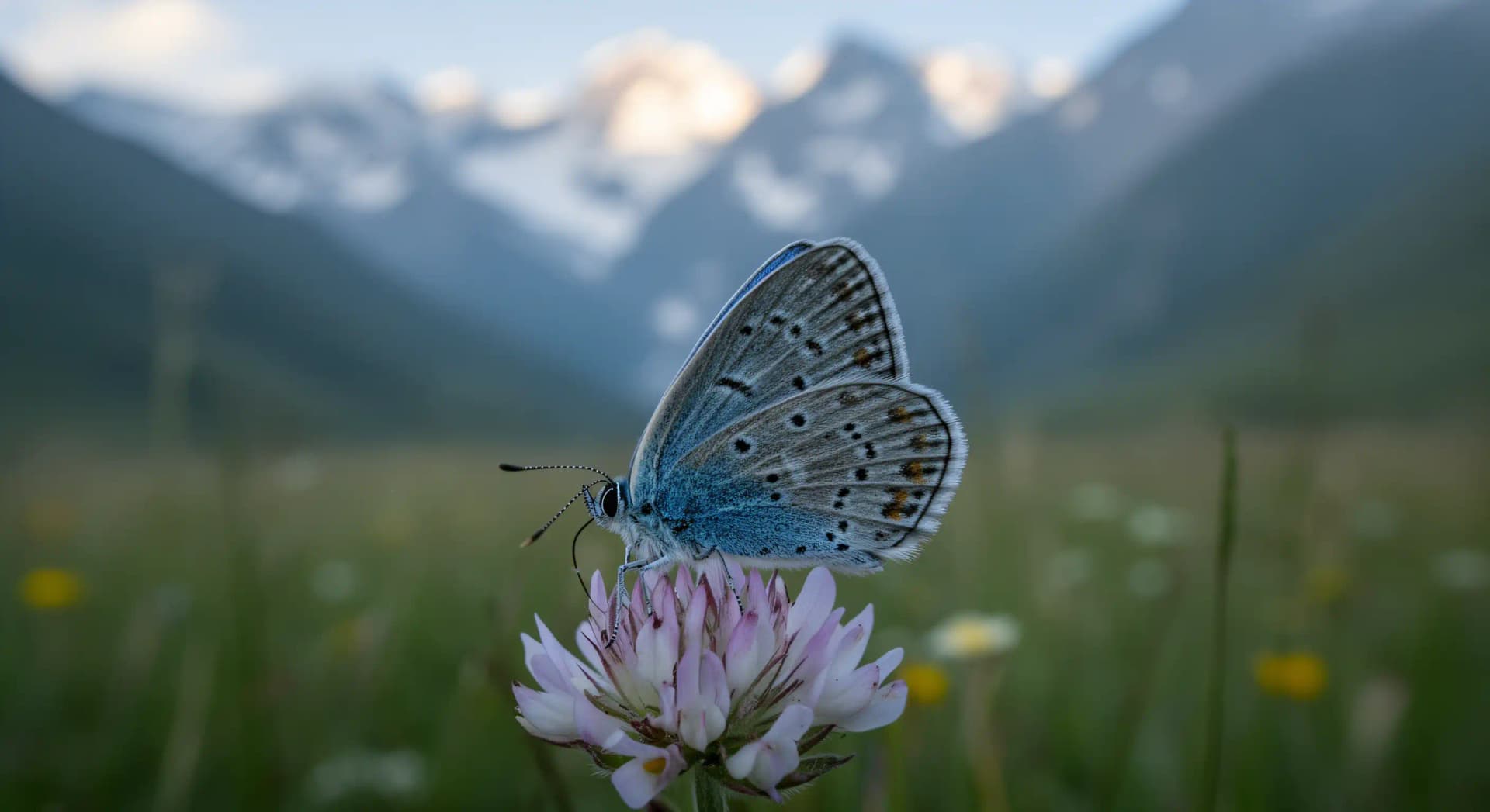COP17 biodiversité Erevan : bilan brut de Kunming-Montréal