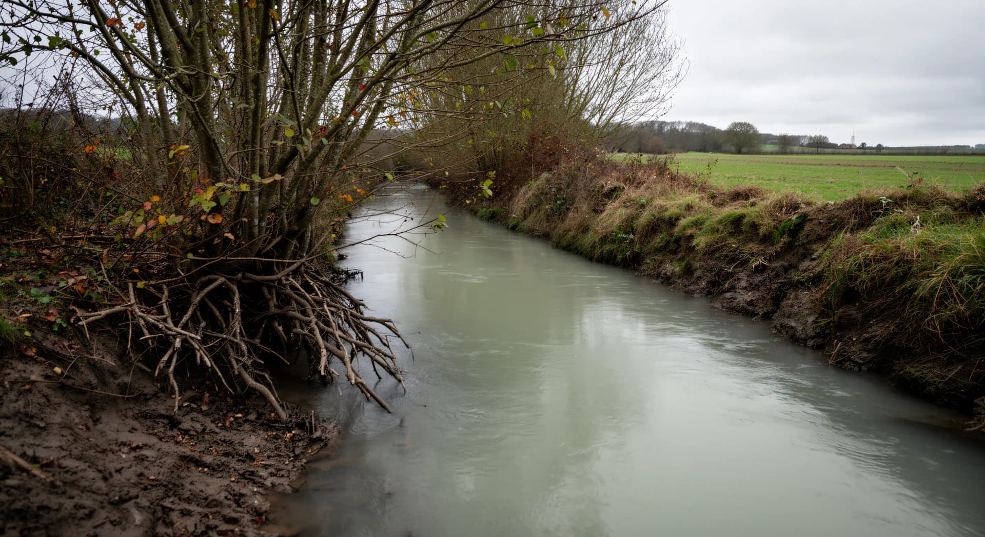 Ille-et-Vilaine : quatre pollutions de rivières en neuf ans