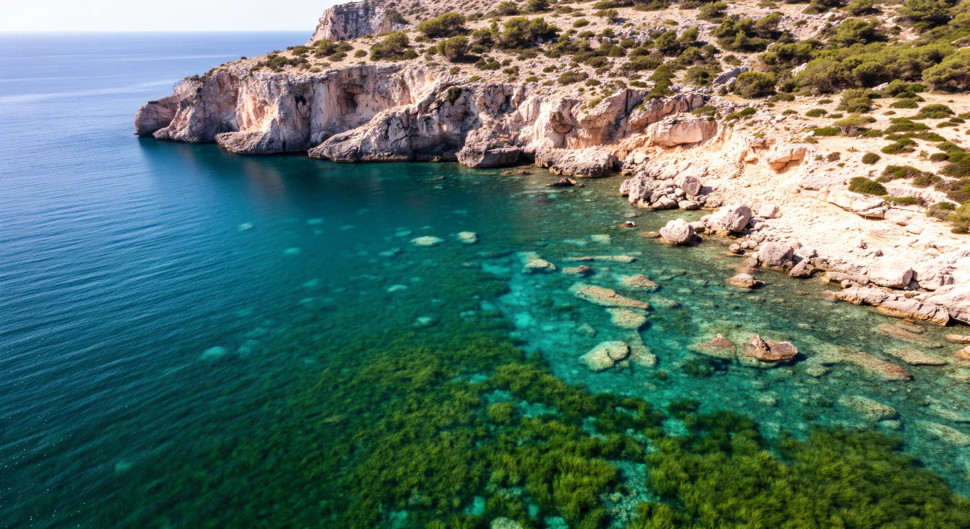 ZPF en mer : 4 mois après, 4,8 % et une controverse tenace
